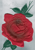 Rose rouge et meilleurs v&oelig;ux pour 2026